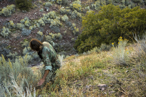 Chris Detrick  |  The Salt Lake Tribune
Eugene Schwarz hikes to his living site near Salt Lake City Saturday October 11, 2014.