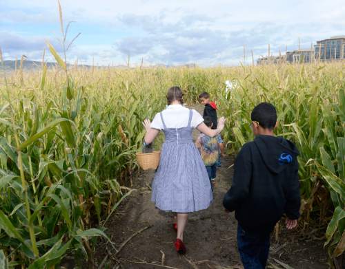 Al Hartmann  |  The Salt Lake Tribune
Brothers Wesley, Daniel,  and Marcus Haston take a walk with "Dorothy" through the state's original corn maze.  It returns to Cornbelly's at Thanksgiving Point for its 19th season on Oct. 3. The 8-acre maze pays tribute to the 75th anniversary of the "Wizard of Oz" movie