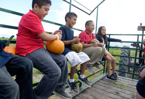 Al Hartmann  |  The Salt Lake Tribune
Fourth grade students from Backman Elementary School in Salt Lake City take a hay wagon ride after picking their own pumpkins at Black Island Farm in Syracuse Tuesday September 16.  The field trip was to help them learn where their food comes from.  Students picked pumpkins, took a wagon ride through the farm , learned about farm animals and explored the corn maze.