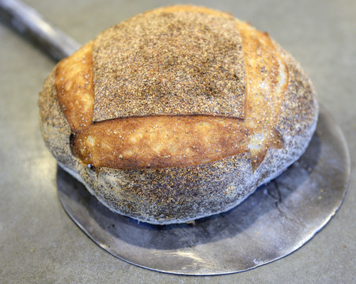 Al Hartmann  |  The Salt Lake Tribune
A  hot loaf of ciabata bread fresh from the oven made by Ryan Moore.  Moore is one of 15 bakers selected to try out for a spot on the Team USA culinary team.