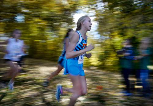 Scott Sommerdorf  |  The Salt Lake Tribune
Morgan Holbrook of Timpview High blurs past the fall leaves in Sugar House Park during the girls' 4A at the Utah State cross-country races held at Sugar House Park and Highland H.S., Wednesday, October 22, 2014.