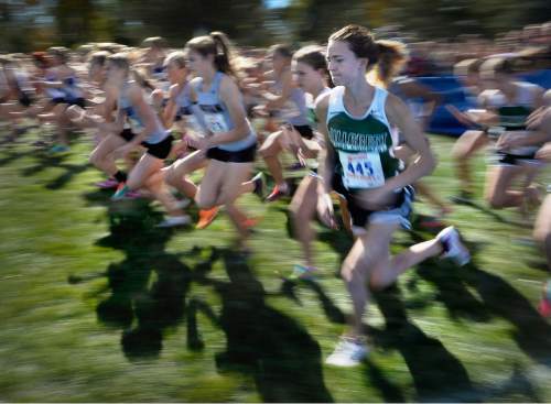 Scott Sommerdorf  |  The Salt Lake Tribune
Danielle Coccimiglio of Hillcrest runs at right as the girls' 5A race starts at the Utah State cross-country races held at Sugar House Park and Highland H.S., Wednesday, October 22, 2014.