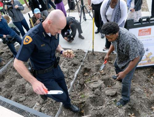 Al Hartmann  |  The Salt Lake Tribune
Norvert Winston, father of murder victim Kenyatta Winston, right, and Salt Lake Police Chief Chris Burbank plant daffodil bulbs Tuesday October 21 as part of A Week Without Violence event sponsored by the YWCA.  The event was held in front of the Salt Lake City Public Safety building with members of the Salt Lake City Mayor's office, Salt Lake City Police and Fire Departments, YWCA Utah and the Gun Violence Prevention Center of Utah attending.
