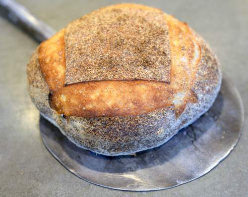 Al Hartmann  |  The Salt Lake Tribune
A loaf of sourdough bread made by Ryan Moore. The Utah baker will compete in the first round of the Bread Bakers Guild Team USA competition in Providence, R.I. this weekend.