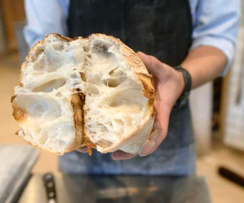 Al Hartmann  |  The Salt Lake Tribune
Ryan Moore tears open a warm loaf of ciabatta bread. The Utah baker will compete in the first round of the Bread Bakers Guild Team USA competition in Providence, R.I.