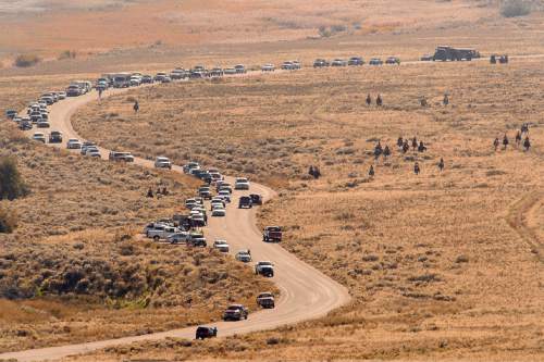 Trent Nelson  |  The Salt Lake Tribune
Onlookers line the road during the annual bison roundup at Antelope Island State Park, Friday October 24, 2014.