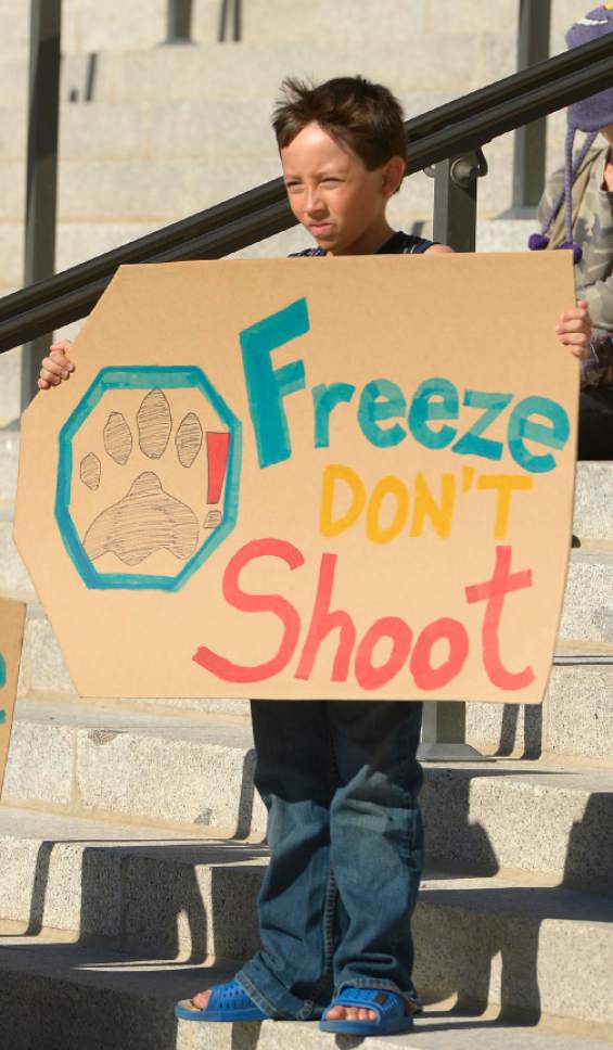Leah Hogsten  |  The Salt Lake Tribune
Dominick Guerrero, 10, rallied with his family at the "Freeze Don't Shoot" rally Saturday, Oct. 25, 2014, at the Utah Capitol, which is part of several marches taking place nationwide to rally against what organizers say is a growing trend of police shooting people's dogs.