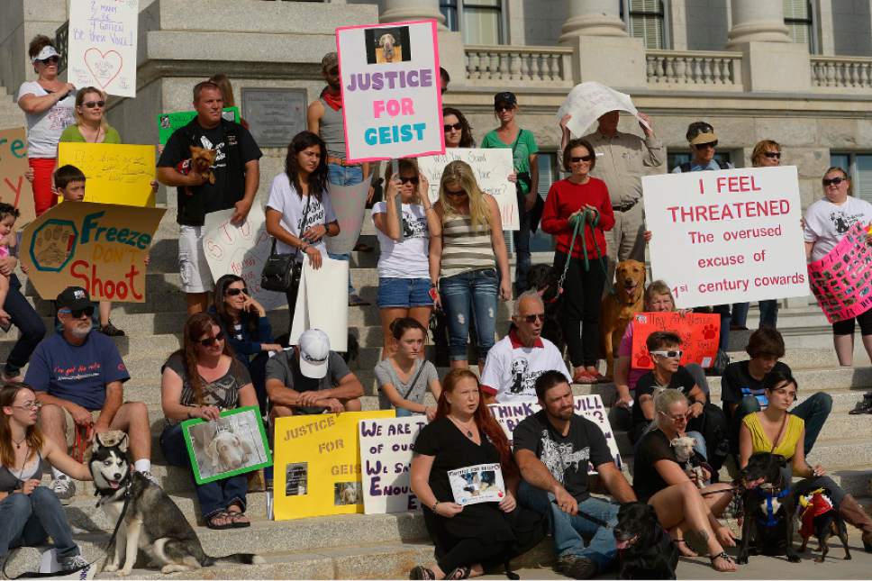 Leah Hogsten  |  The Salt Lake Tribune
The "Freeze Don't Shoot" rally Saturday, Oct. 25, 2014, at the Utah Capitol is part of several marches taking place nationwide to rally against what organizers say is a growing trend of police shooting people's dogs.