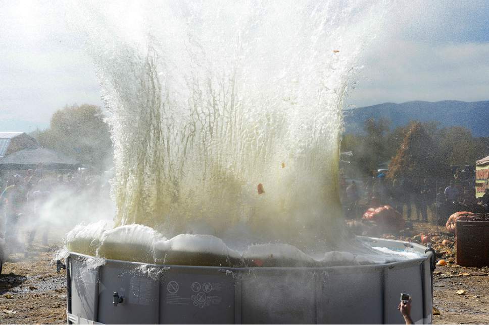 Scott Sommerdorf  |  The Salt Lake Tribune
A huge pumpkin makes an equally big splash as it falls into a pool of soapy water at Hee Haw Farms in Pleasant Grove on Saturday. Hee Haw Farms and the Giant Pumpkin Growers have teamed up with the March of Dimes for the 6th Annual Giant Pumpkin Drop.