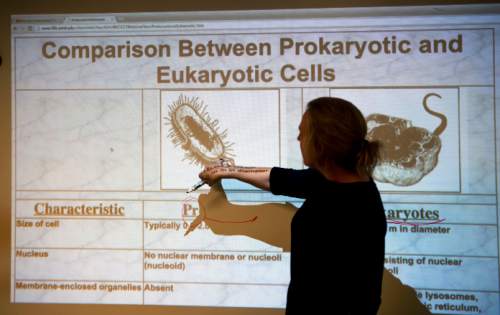 Steve Griffin  |  The Salt Lake Tribune

Betsy Revenaugh works on cell identification in her seventh-grade science class at the Salt Lake Arts Academy in Salt Lake City, Monday, October 27, 2014. The school was one of the charter schools that scored above the state average in all test subjects.