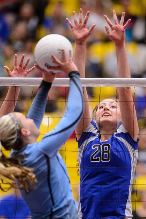 Trent Nelson  |  The Salt Lake Tribune
Panguitch's Chesney Campbell (28) looks to block, as Panguitch defeats Piute High School in the championship match of the State 1A Volleyball Tournament at Utah Valley University in Provo, Saturday November 1, 2014.
