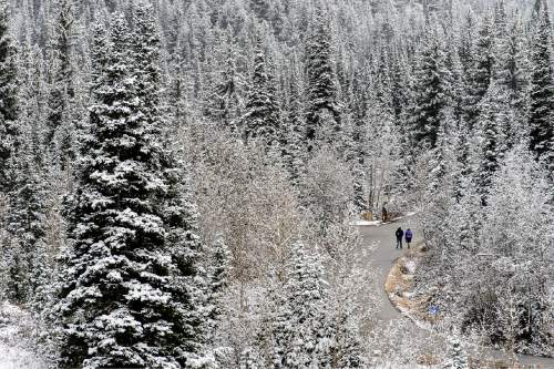Trent Nelson  |  The Salt Lake Tribune
Hikers in a snow-frosted landscape near Jordan Pines in Big Cottonwood Canyon, Sunday November 2, 2014.