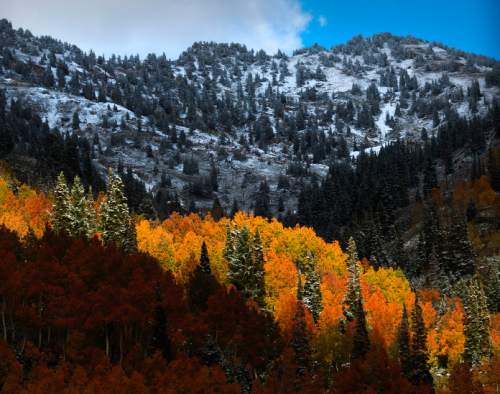 Steve Griffin  |  The Salt Lake Tribune


Snow covers the high peaks above Alta, Utah as the fall leaves hang onto their colors Wednesday, October 1, 2014.