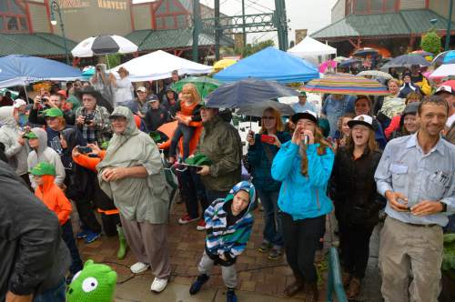 Leah Hogsten  |  The Salt Lake Tribune
Onlookers react to Matt McConkie's new state record with his winning giant pumpkin at 1,731 pounds. The 10th Annual Giant Pumpkin Weigh Off at Thanksgiving Point, Saturday, September 27, 2014.