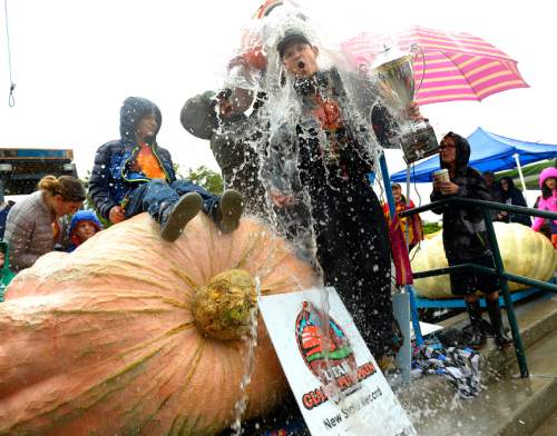 Leah Hogsten  |  The Salt Lake Tribune
Matt McConkie is doused in celebration after setting the new state record with his giant pumpkin at 1,731 pounds. The 10th Annual Giant Pumpkin Weigh Off at Thanksgiving Point, Saturday, September 27, 2014.