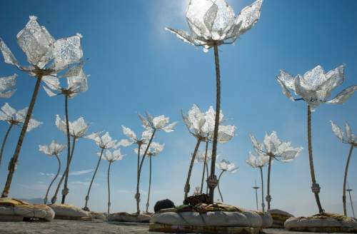 Rick Egan  |  The Salt Lake Tribune


"Pulse and Bloom" at the Burning Man Festival, in the Black Rock Desert, 100 miles north of Reno, Nevada, Thursday, August 28, 2014. The Festival continues through Sunday. Thursday, August 28, 2014