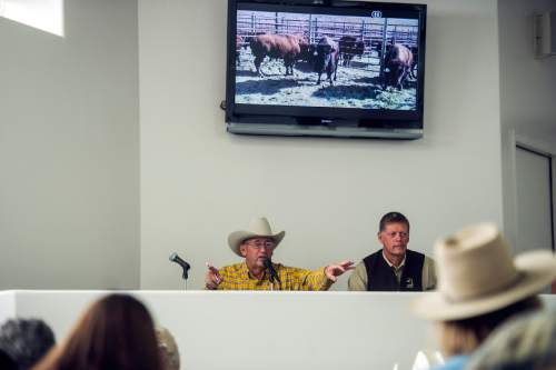 Chris Detrick  |  The Salt Lake Tribune
Auctioneer Lane Parker calls out bids during the 10th annual Antelope Island live bison auction Saturday November 8, 2014. Over 200 bison were auctioned today.