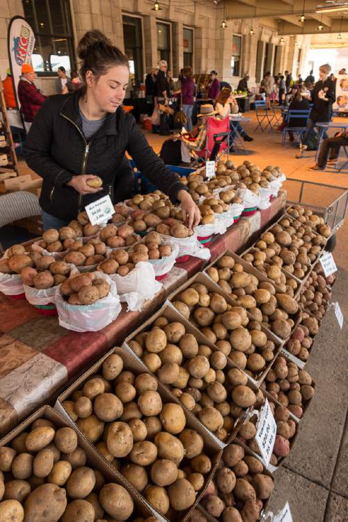 Trent Nelson  |  The Salt Lake Tribune
Rachel Wilkerson working the Wilkerson Farms booth at the Winter Market, held the Rio Grande Depot in Salt Lake City, Saturday November 8, 2014. This year's winter farmers market features more than 60 vendors selling produce, meat, eggs and more. The market will run every other Saturday through April 25.