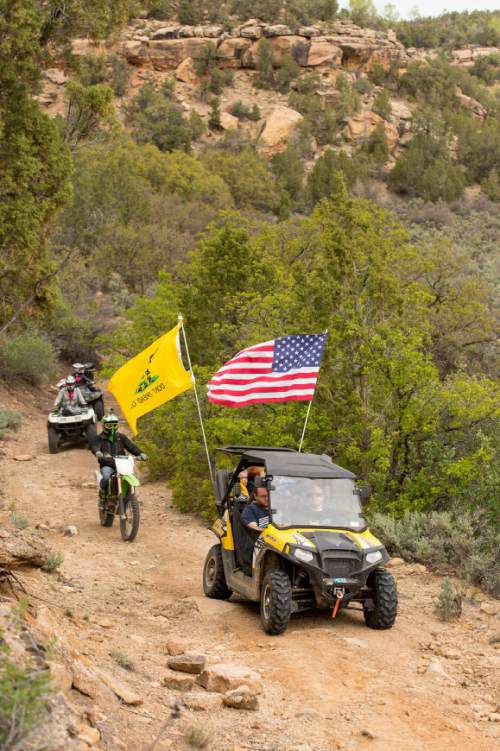 Trent Nelson  |  The Salt Lake Tribune
Motorized vehicles make their way through Recapture Canyon, which has been closed to motorized use since 2007, after a call to action by San Juan County Commissioner Phil Lyman. Saturday May 10, 2014 north of Blanding.