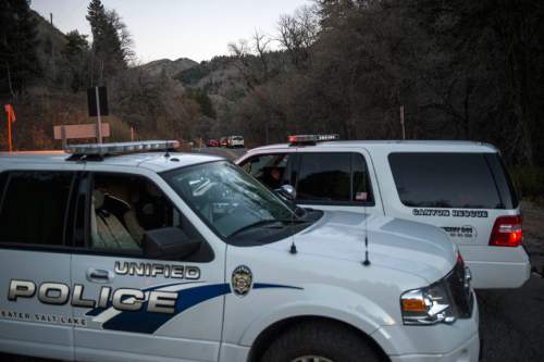 Chris Detrick  |  The Salt Lake Tribune
Unified police vehicles near the scene in Millcreek Canyon Tuesday November 11, 2014. Two Taylorsville residents were found dead Tuesday in Millcreek Canyon in what police were calling a murder-suicide. The shooting victims were identified as Lionel Williamson, 51, and his mother, Alice Williamson, 74, said UPD spokesman Lt. Justin Hoyal.