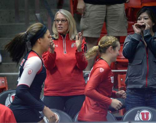 Al Hartmann  |  The Salt Lake Tribune
Mary Bowman cheers for the Ute volleyball team playing a tough Pac-12 match against UCLA Sunday November 11.  She is retiring next month after a long tenure as the University of Utah's senior women's administrator in athletics.