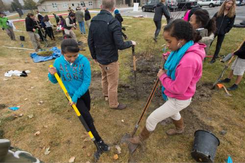 Rick Egan  |  The Salt Lake Tribune
                                                                                  
Mia Jara (left) andDaisy Taloa (right) students at Pacific Heritage Academy, plant trees they in the Jordan River Wildlife Grove on the school's property as part of a three year restoration of the Jordan River. 
Friday, November 14, 2014