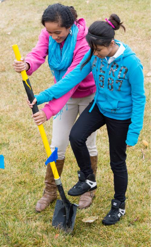 Rick Egan  |  The Salt Lake Tribune

Daisy Taloa (left) and Mia Jara (right) students at Pacific Heritage Academy, dig a hole to plant a tree in the Jordan River Wildlife Grove on the school's property as part of a three year restoration of the Jordan River. 
Friday, November 14, 2014