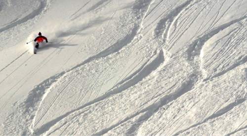 Steve Griffin | Tribune File
A skier carves their way down from the top of Wildcat run at Alta.