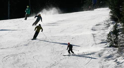 Scott Sommerdorf   |  The Salt Lake Tribune
Skiers and snowboarders enjoy a sunny Sunday on Solitude's Little Dollie run, Sunday, November 10, 2013.