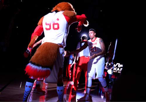 Leah Hogsten  |  The Salt Lake Tribune
Utah Utes forward Jordan Loveridge (21) gets ready to take the court with his teammates at the University of Utah's home opener at the Jon M. Huntsman Center in Salt Lake City, November 14, 2014.