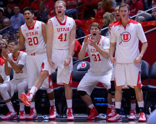 Leah Hogsten  |  The Salt Lake Tribune
The bench explodes as the Utes go on a run. The University of Utah defeated Ball State University 90-72 during their home opener at the Jon M. Huntsman Center in Salt Lake City, November 14, 2014.