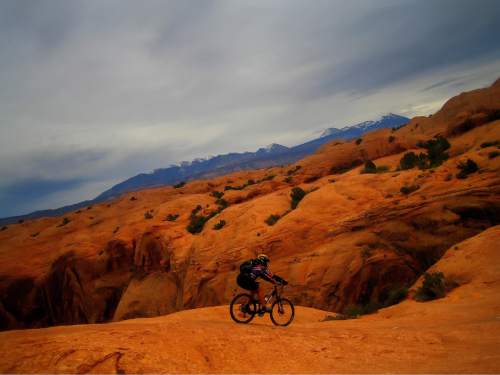 Chris Detrick  |  The Salt Lake Tribune
With the the LaSal Mountains in the background, a mountain biker rides along the famous Slickrock Trail outside Moab. The Moab Area Travel Council had planned to promote itself in the Pacific Northwest this year, but the recession has compelled it and the Utah Office of Tourism to focus on the tried-and-true Colorado market.