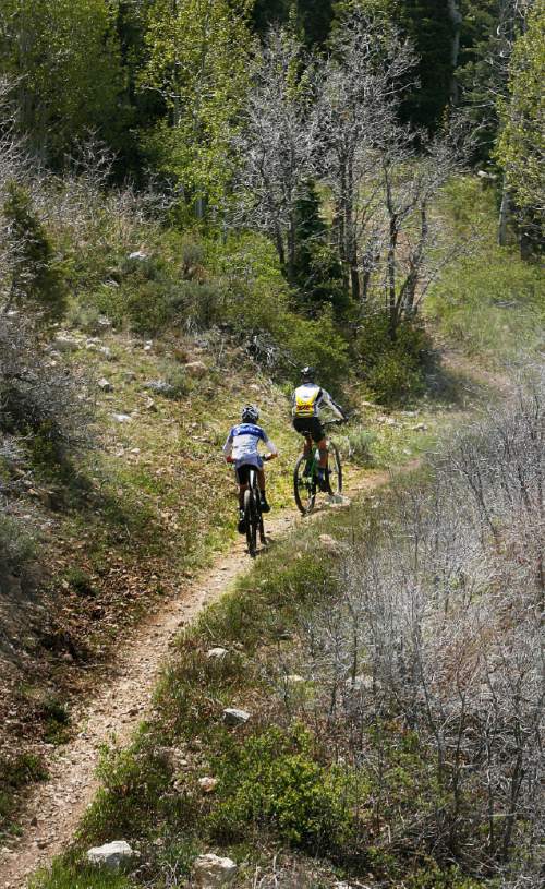 Scott Sommerdorf  |  The Salt Lake Tribune             
Two mountain bikers pedal up a trail near the St. Regis Deer Valley on a mild Mother's Day, Sunday, May 13, 2012. Scott Sommerdorf  |  The Salt Lake Tribune             
The staff at The St. Regis Deer Valley treated fifty family members of deployed soldiers, including 30 mothers to brunch, Sunday, May 13, 2012.