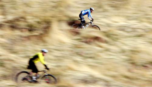 Steve Griffin  |  The Salt Lake Tribune

Mountain bikers zip down the Bonneville Shoreline Trail near the University of Utah in Salt Lake City, Utah Tuesday, November 29, 2011.