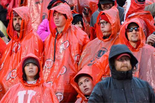 Trent Nelson  |  The Salt Lake Tribune
Utah fans during the fourth quarter as the University of Utah Utes hosts the Arizona Wildcats, college football at Rice-Eccles Stadium in Salt Lake City on Saturday.