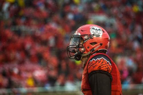 Chris Detrick  |  The Salt Lake Tribune
Utah Utes quarterback Travis Wilson (7) after the game at Rice-Eccles Stadium Saturday November 22, 2014. Arizona Wildcats defeated Utah Utes 42-10.