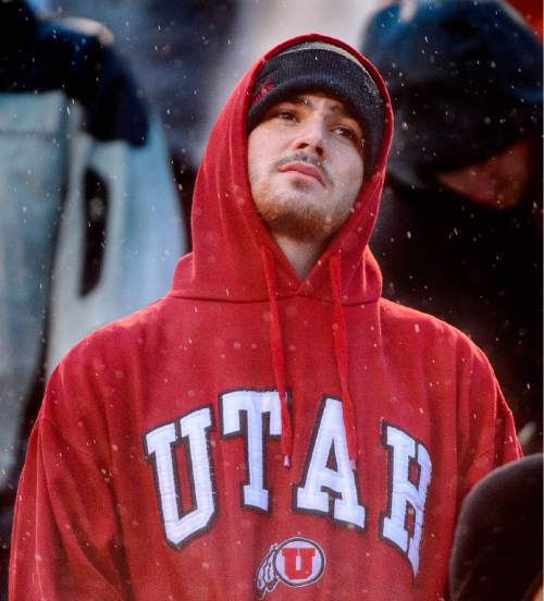 Trent Nelson  |  The Salt Lake Tribune
Utah fans during the fourth quarter as the University of Utah Utes hosts the Arizona Wildcats, college football at Rice-Eccles Stadium in Salt Lake City Saturday November 22, 2014.