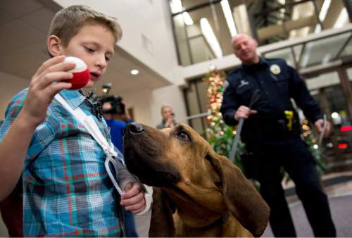 Lennie Mahler  |  The Salt Lake Tribune
Kollin Bailey, 6, plays fetch with West Valley City Police Department K9 bloodhound, Copper, as Sgt. Shane Matheson watches during a press conference at West Valley City Hall on Saturday. Copper led Matheson to a manhole where Kollin had fallen, broken his arm and was stuck Friday.