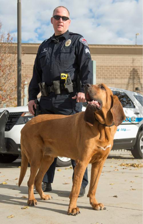 Rick Egan  |  The Salt Lake Tribune
Sgt. Shane Matheson  accompanied by his bloodhound, Copper, talks about the missing Herriman boy who they found on Friday in an open 12-foot-deep manhole.