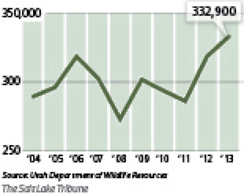 Utah's deer population healthier than in other states The Salt Lake
