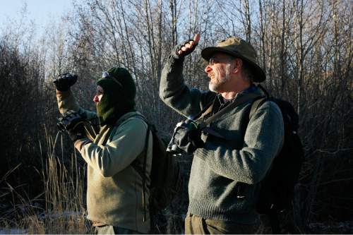 Scott Sommerdorf  |  The Salt Lake Tribune             
Robert Duke, left, and Duane Smith stop to try to identify some birds spotted in the brush near the base of the Jordanalle Reservoir Dam during the 112th annual Audubon Christmas Bird Count in 2011.
