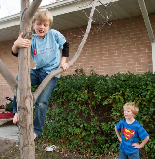 Rick Egan  |  The Salt Lake Tribune

Stryker, 7 climbs a tree in his yard, as hi little brother Sage, 5 watches, Monday, December 8, 2014.  Both boys and their sister Samantha have been receiving Christmas presents through the Prison Fellowship's Angel Tree program, where local churches, businesses and individuals purchase the gifts, which are given to the kids in their parent's name.