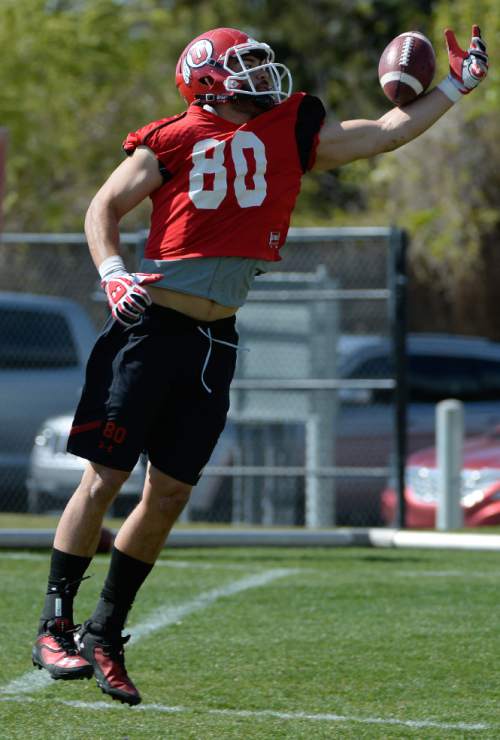 Franciso Kjolseth  |  The Salt Lake Tribune
Westlee Tonga over shoots it as the University of Utah football team gets ready for the season during Spring practice at the Spence Eccles Football Facility on Thursday, April 17, 2014.