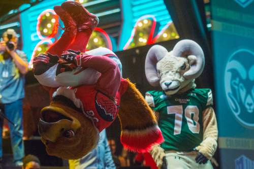 Chris Detrick  |  The Salt Lake Tribune
Utah's Swoop defeats Colorado State's CAM the Ram during a dance-off during the Fremont Street Experience Pep Rally in Las Vegas Friday December 19, 2014.
