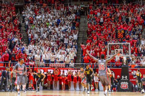Trent Nelson  |  The Salt Lake Tribune
Utah fans stand up and cheer as the Utes take an 11-point lead over the Wichita State Shockers, college basketball at the Huntsman Center in Salt Lake City, Wednesday December 3, 2014.