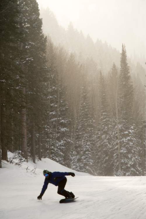Rick Egan  |  The Salt Lake Tribune

A snow border makes a run at the Canyons Resort, Friday, December 26, 2014