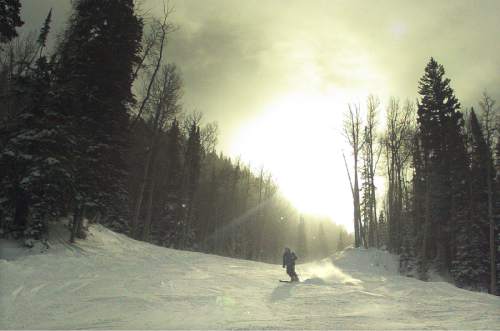 Rick Egan  |  The Salt Lake Tribune

Skiers enjoy the new snow at The Canyons Resort, Friday, December 26, 2014