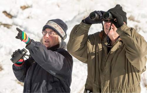 Rick Egan  |  The Salt Lake Tribune

Local bird watchers, Jeanne De Ber and Ray Smith count birds for the national Audubon Society during the Jordan River Bird Count, in Sandy, Thursday, January 1, 2015