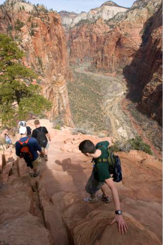 Hikers carefully pick their way down the Angel's Landing Trail.   It's one of the premier hikes in the park which takes the hiker up and a steep rock spine that climbs to a magnificent view of the Virgin River and Zion Canyon below. Al Hartmann/The Salt Lake Tribune     3/25/2009