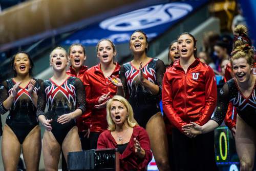 Chris Detrick  |  The Salt Lake Tribune
Members of the Utah gymnastics team cheer as Utah's Maddy Stover competes on the beam during the gymnastics meet at the Marriott Center at Brigham Young University Friday January 9, 2015.